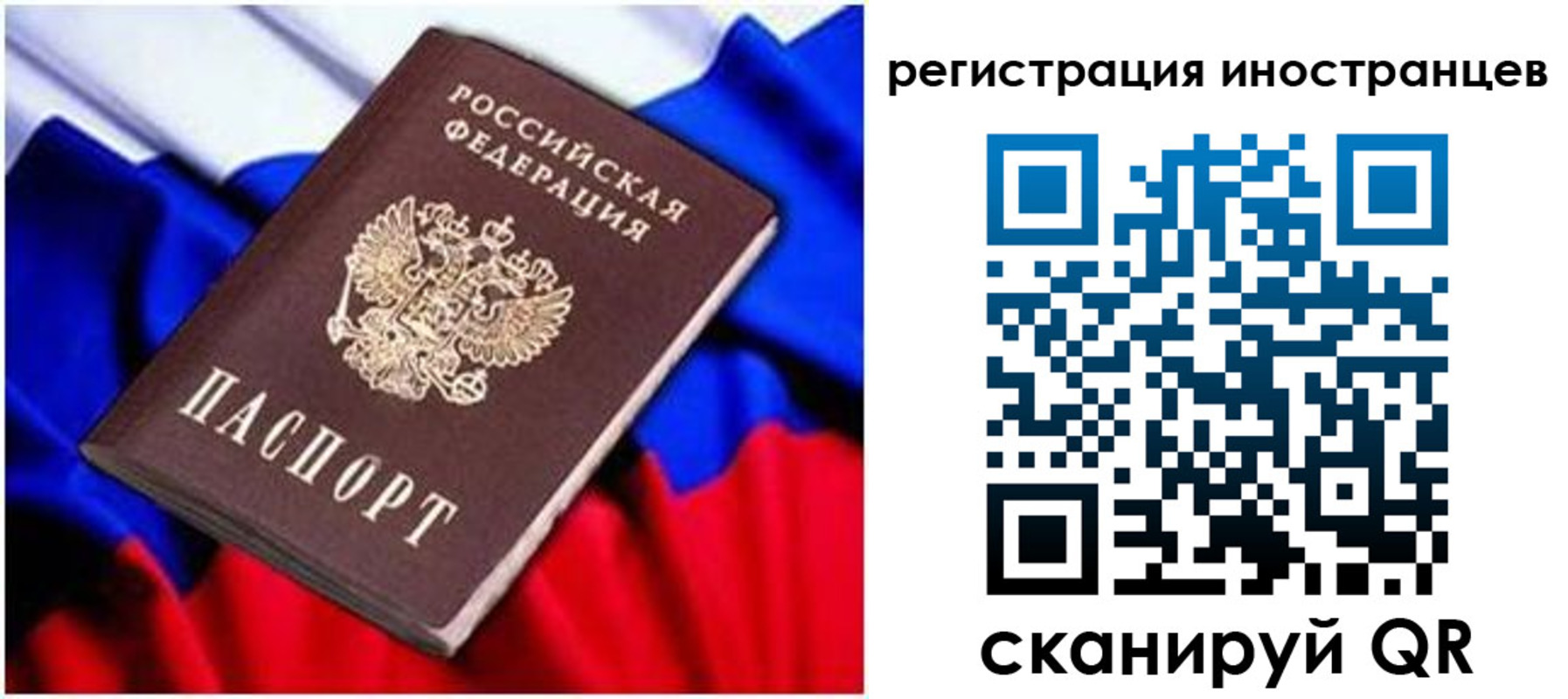прописка для школы в Куртамыше